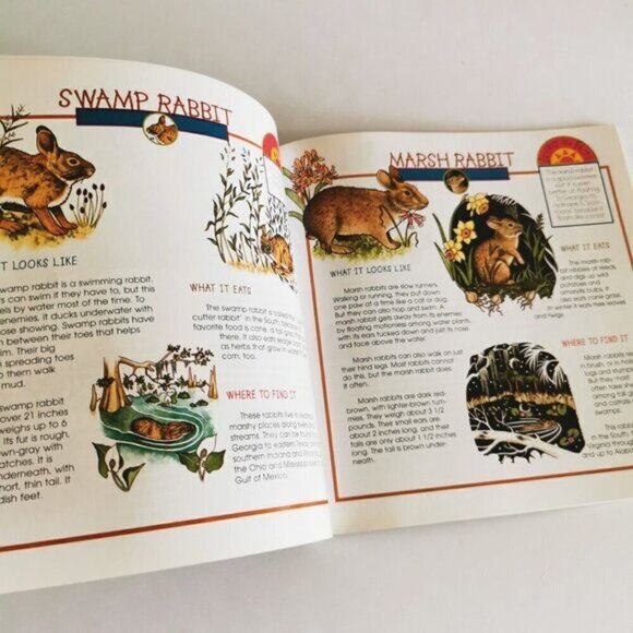 Take Along Guide Rabbits, Squirrels & Chipmunks Book, Fun with Nature Kids book - Picture 6 of 9